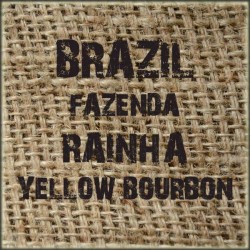 Brazil Fazenda Rainha Yellow Bourbon