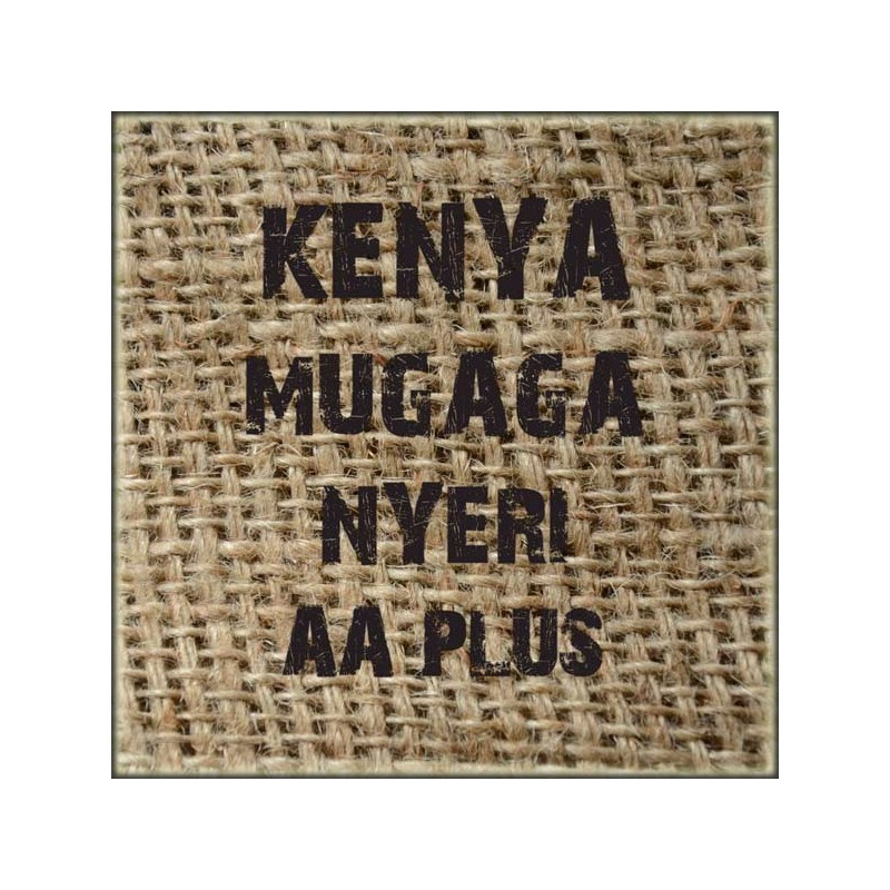 Kenya Mugaga Nyeri AA Plus