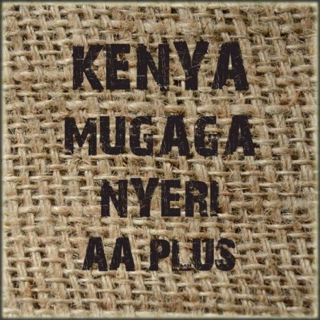 Kenya Mugaga Nyeri AA Plus