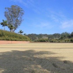 Brazil Fazenda Sertaozinho Mundo Novo