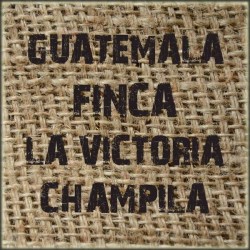 Guatemala Finca La Victoria Champila