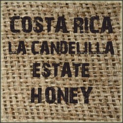Costa Rica La Candelilla Estate Honey
