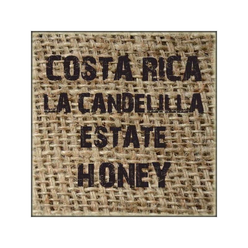 Costa Rica La Candelilla Estate Honey