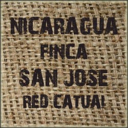 Nicaragua Finca San Jose Red Catuai